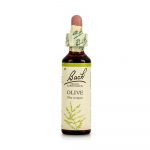 135242 POWER HEALTH   BACH Olive   20ml 5000488103236