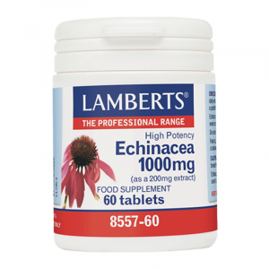 lamberts Echinacea 1000mg 60tabs 800x800 1